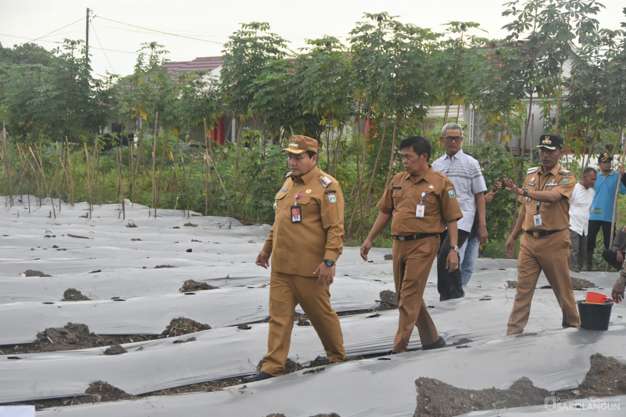 9 Juli 2024 -&nbsp;Gerakan Tanam Cabe Merah Kelompok Tani Sako Mandiri, Bertempat di Kelurahan Aurgading Kecamatan Sarolangun