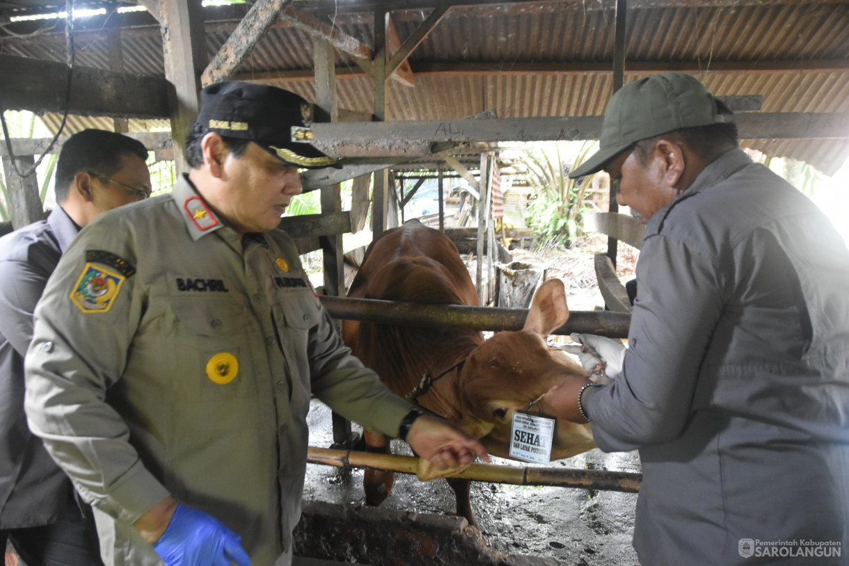 15 Juni 2024 - Monitoring Tempat Pemotongan Hewan Kurban Di Kelurahan Aurgading Kecamatan Sarolangun Dan Desa Siliwangi Kecamatan Singkut