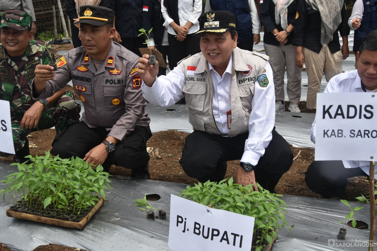 6 Desember 2023 - Gerakan Tanam Cepat Panen Tanaman Cabe Merah Di Kelompok Tani Danau Beringin Desa Ujung Tanjung Kecamatan Sarolangun