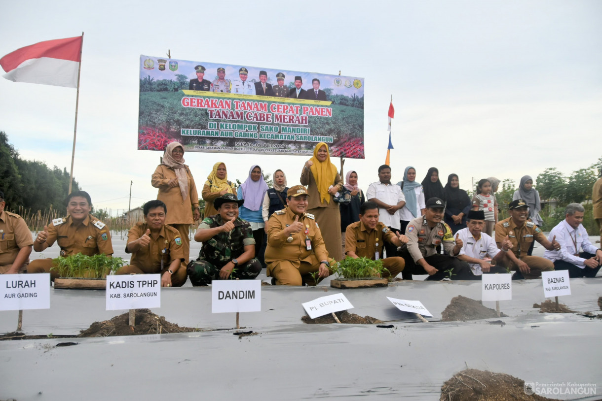 9 Juli 2024 -&nbsp;Gerakan Tanam Cabe Merah Kelompok Tani Sako Mandiri, Bertempat di Kelurahan Aurgading Kecamatan Sarolangun