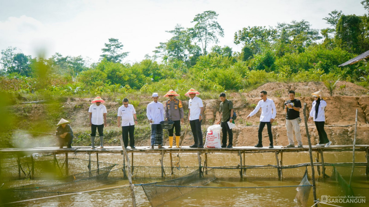 3 September 2025&nbsp; Panen Jagung Hibrida Program Ketahanan Pangan Bumdes Batam Jaya Desa Batu Ampar Tahun 2025