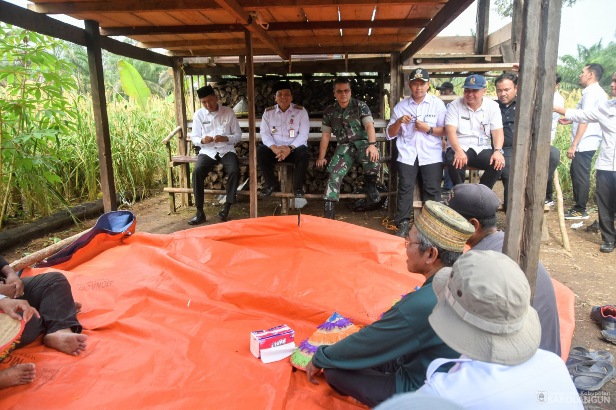 13 Maret 2024 - Panen Padi Ladang Kelompok Tani Mencawang Tani Desa Pulau Lintang Kecamatan Bathin VIII