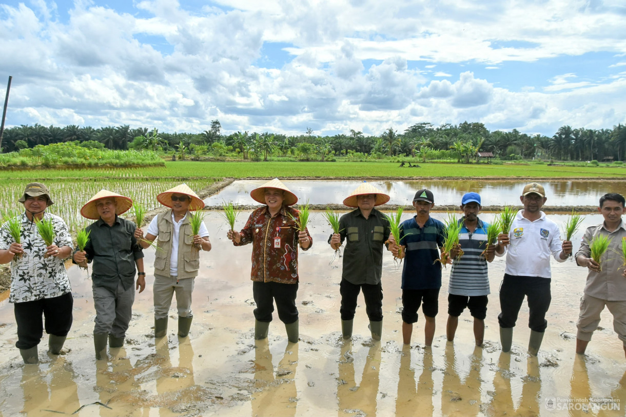 4 Februari 2024 - Tanam Padi Sawah Di Desa Bukit Suban Kecamatan Air Hitam