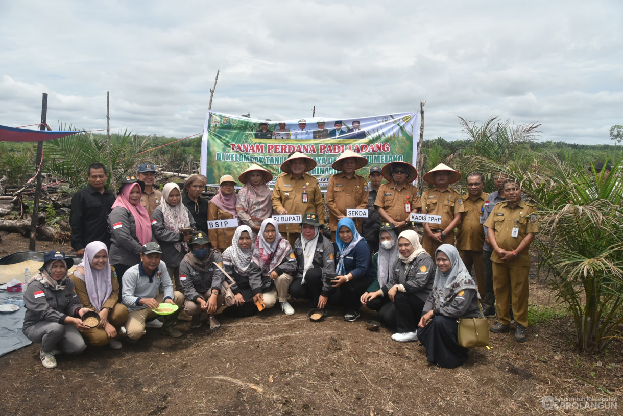 10 September 2024 - Tanam Perdana Padi Ladang Kelompok Tani Mitra Jaya, Bertempat di Desa Pulau Melako Kecamatan Bathin VIII