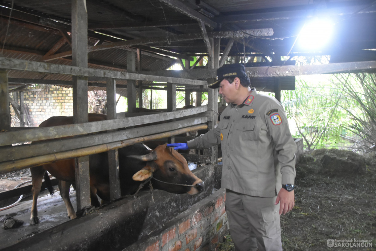 15 Juni 2024 - Monitoring Tempat Pemotongan Hewan Kurban Di Kelurahan Aurgading Kecamatan Sarolangun Dan Desa Siliwangi Kecamatan Singkut