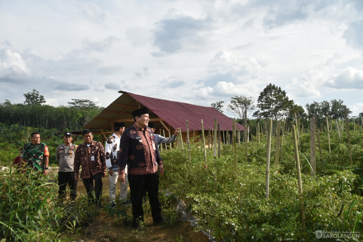 11 Januari 2024 - Meninjau Kebun Cabe Di Desa Pasar Singkut Kecamatan Singkut