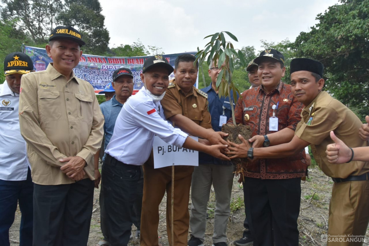 Penanaman Bibit Buah-Buahan di Desa Muaro Cuban Kecamatan Batang Asai