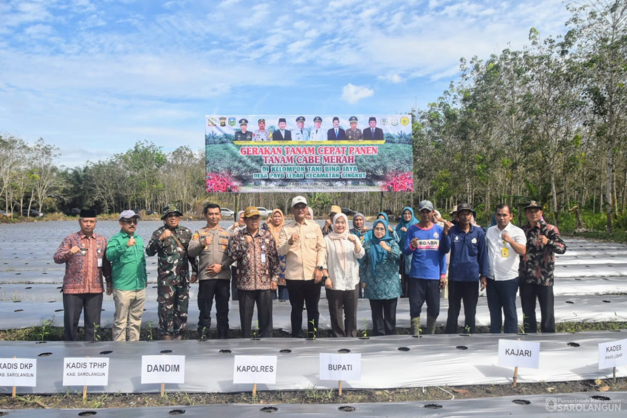 19 Juni 2025 -&nbsp;Tanam Cabe Merah Kelompok Tani Bina