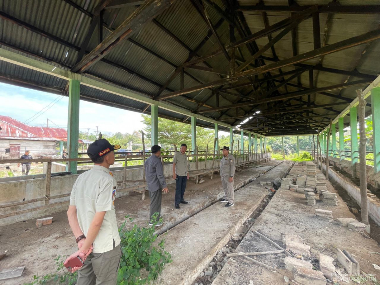 15 Juni 2024 - Meninjau Pasar Ternak Pelawan Di Pelawan