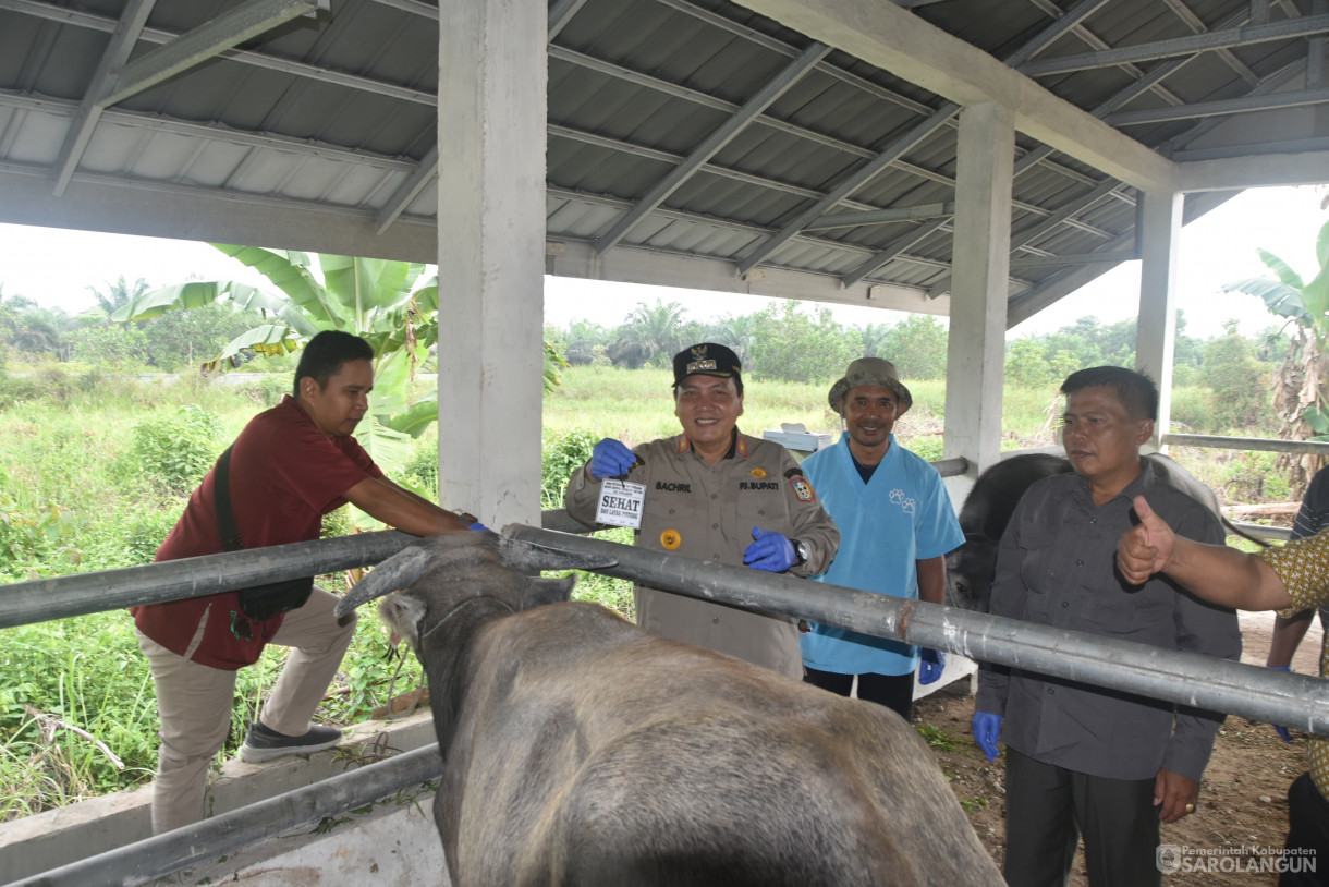 15 Juni 2024 - Monitoring Tempat Pemotongan Hewan Kurban Di Kelurahan Aurgading Kecamatan Sarolangun Dan Desa Siliwangi Kecamatan Singkut