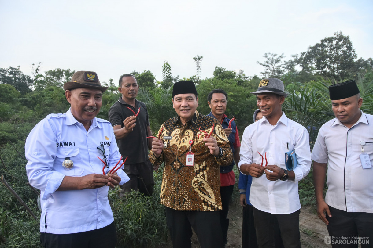 20 Desember 2023 - Meninjau Kebun Cabe Kelompok Tani Desa Pelawan Jaya