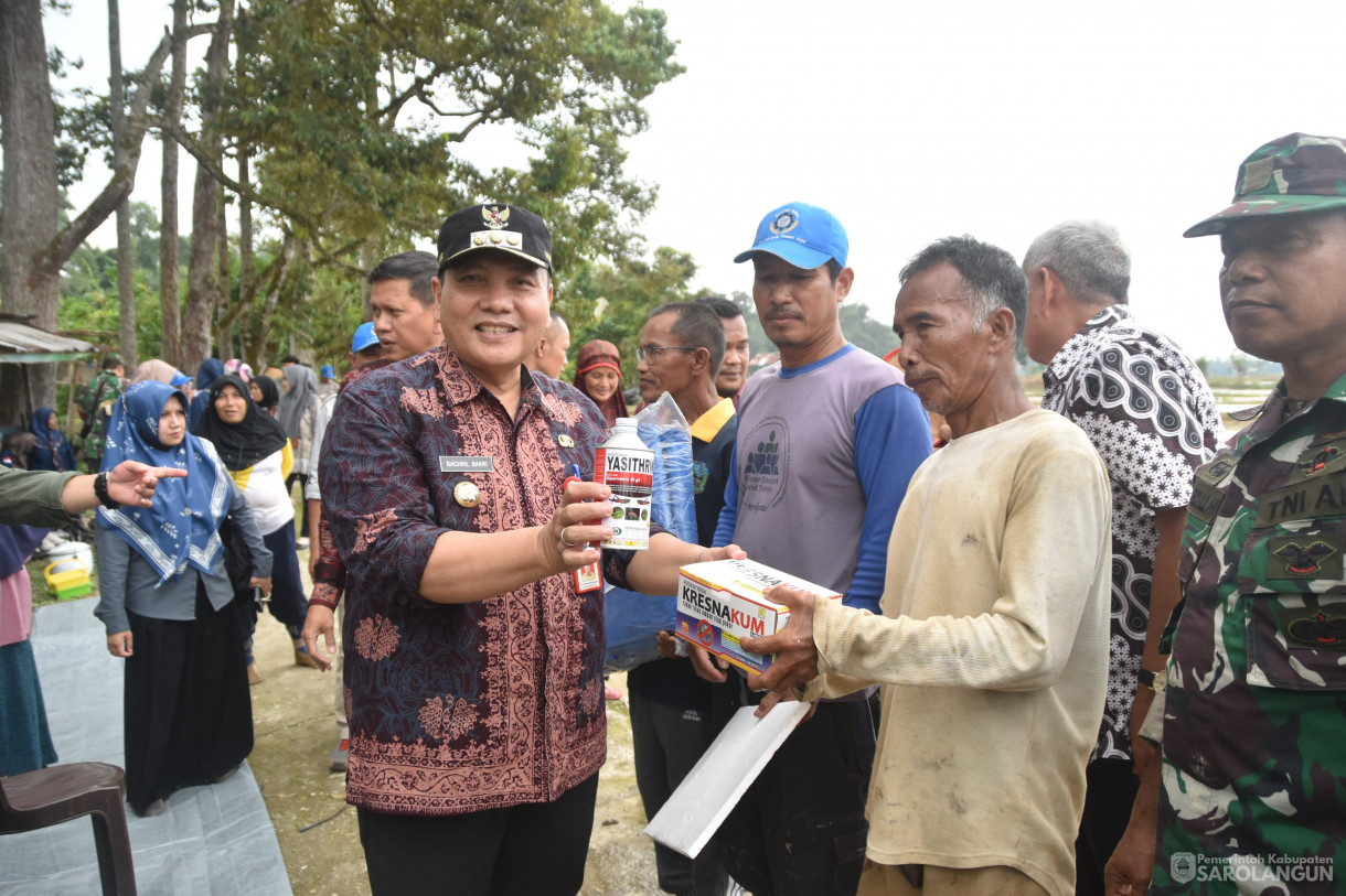 1 Februari 2024 - Tanam Bibit Unggul Padi Sawah Dari IPB Di Desa Pasar Pelawan