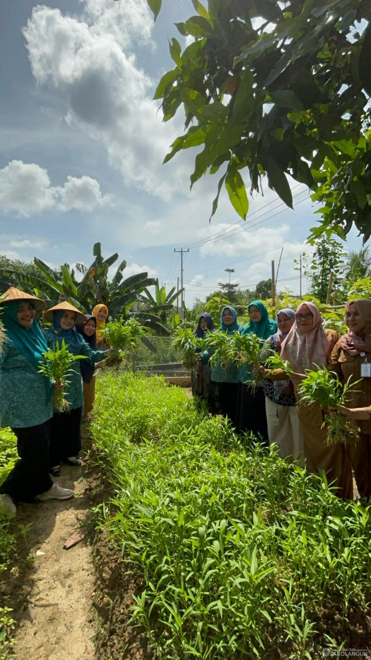 4 Maret 2024 - Ibu Sekretaris Daerah Selaku Wakil Ketua TP PKK  Bersama Pokja 3 Melaksanakan Kegiatan Himbauan Menanam Cabe Di Halaman Rumah Pada Masyarakat Kab. Sarolangun