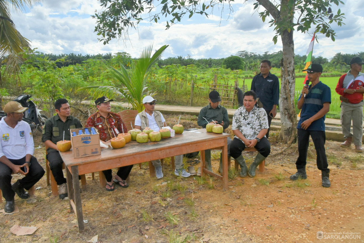 4 Februari 2024 - Tanam Padi Sawah Di Desa Bukit Suban Kecamatan Air Hitam