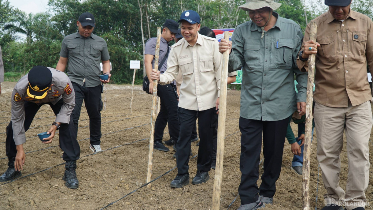 7 Maret 2026&nbsp;Penanaman Jagung Serentak Kuartal I Tahun 2026 Dalam Rangka Mendukung Swasembada Jagung di Desa Sendang Sari Kecamatan Singkut
