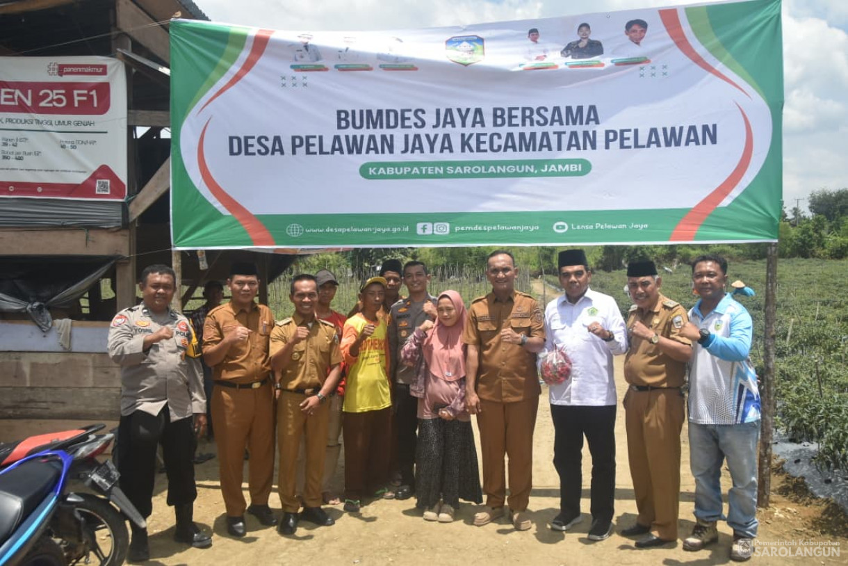 14 Oktober 2025 Panen Cabe Merah Bumdes Jaya Bersama Desa Pelawan Jaya