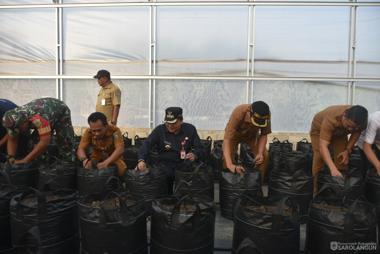 4 Juni 2024 - Gerakan Tanam Cepat Panen Tanam Cabe Merah Di Kelompok Jaya Makmur Desa Bukit Murau Kecamatan Singkut Dan Meninjau Smart Green House Dan Penanaman Bibit M