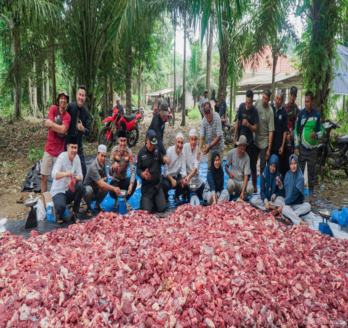 27 Mei 2026 Bupati Sarolangun Menghadiri Sekaligus Menyaksikan Secara Langsung Proses Pemotongan Hewan Kurban 46 Ekor Sapi, 2 Ekor Kambing di Desa Rantau Gedang Kecamatan Bathin VIII