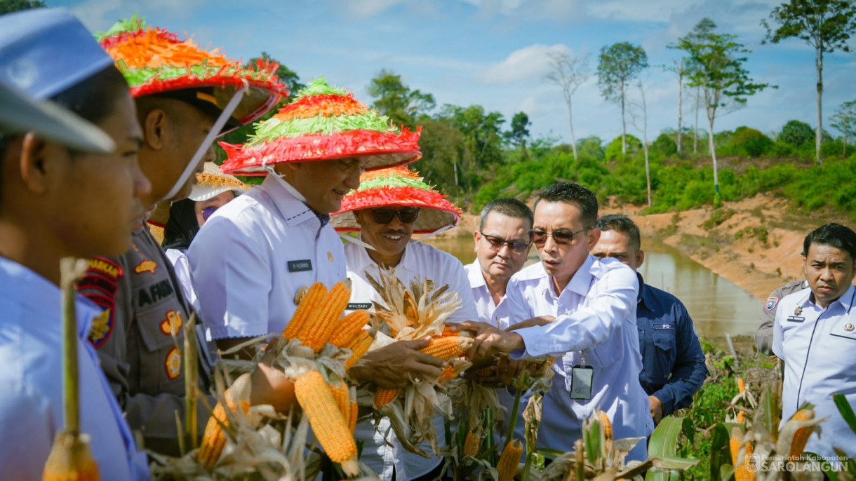3 September 2025&nbsp; Panen Jagung Hibrida Program Ketahanan Pangan Bumdes Batam Jaya Desa Batu Ampar Tahun 2025