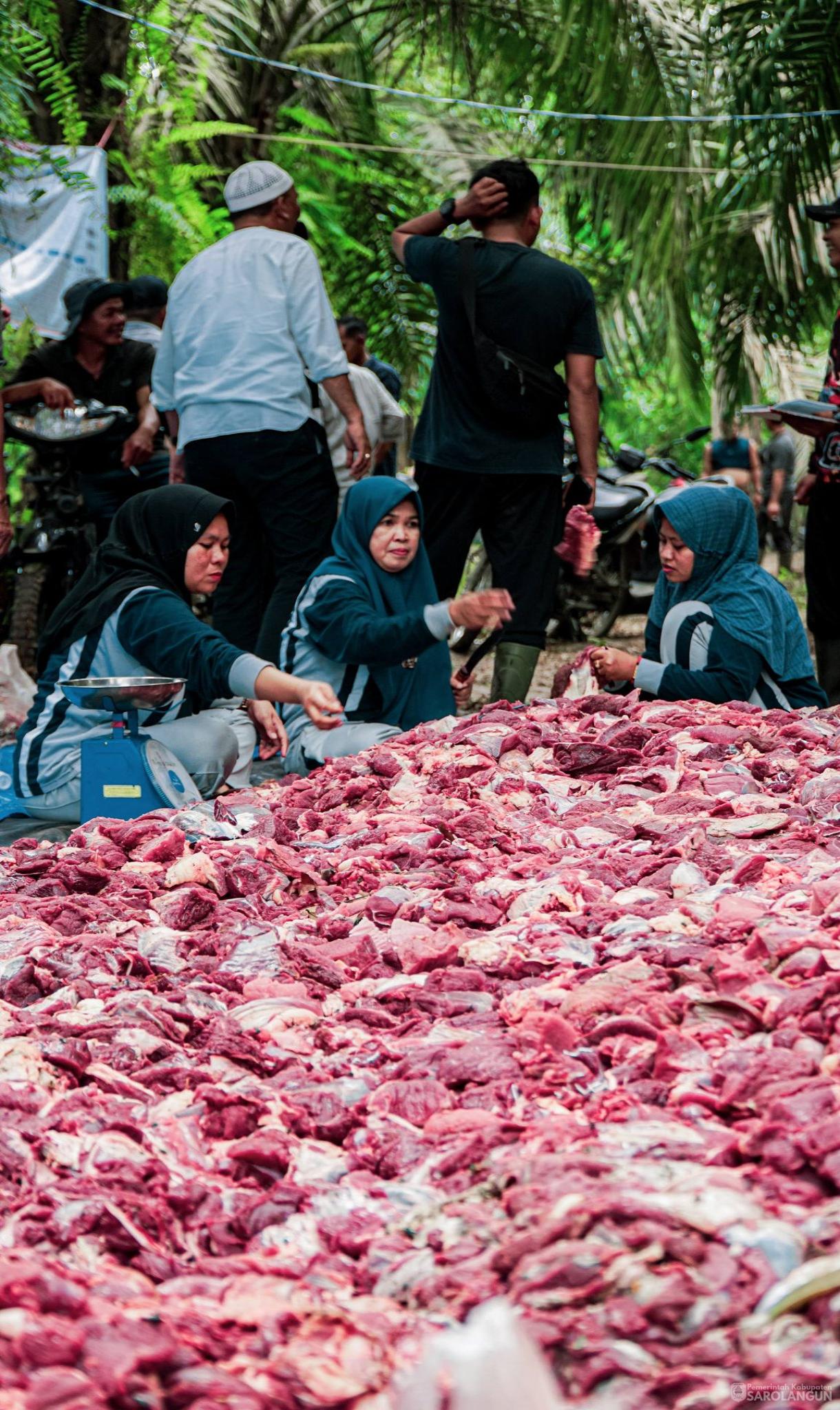 27 Mei 2026 Bupati Sarolangun Menghadiri Sekaligus Menyaksikan Secara Langsung Proses Pemotongan Hewan Kurban 46 Ekor Sapi, 2 Ekor Kambing di Desa Rantau Gedang Kecamatan Bathin VIII