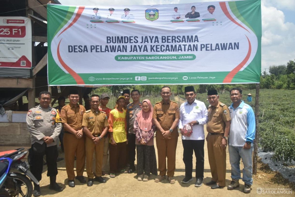 14 Oktober 2025 Panen Cabe Merah Bumdes Jaya Bersama Desa Pelawan Jaya