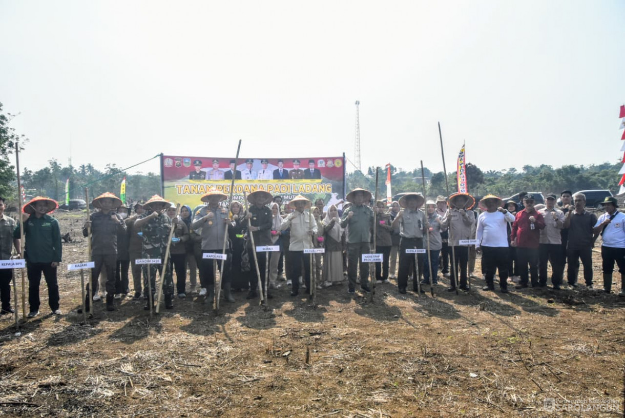 28 Agustus 2025&nbsp; &nbsp;Panen Perdana Padi Ladang Kelompok Tani Renah Mutu Desa Tanjung Kecamatan Bathin VIII
