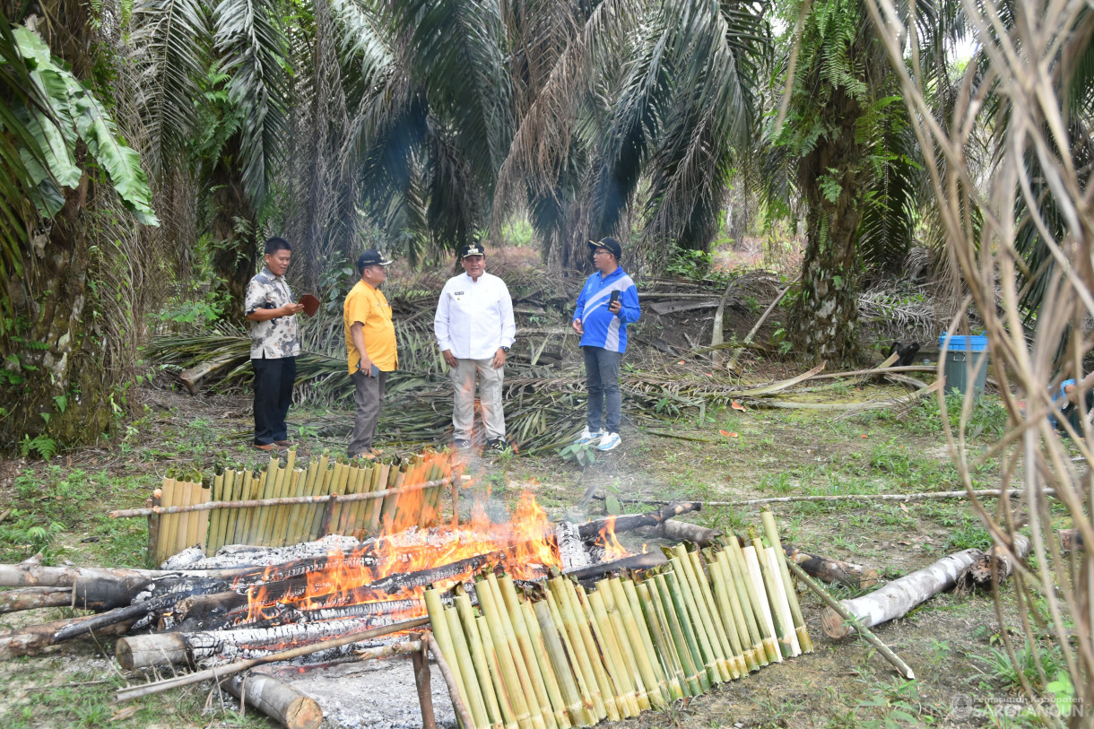 1 Desember 2023 - Panen Semangka Program Ketahanan Pangan Desa Sungai Keramat Kecamatan Cermin Nan Gedang