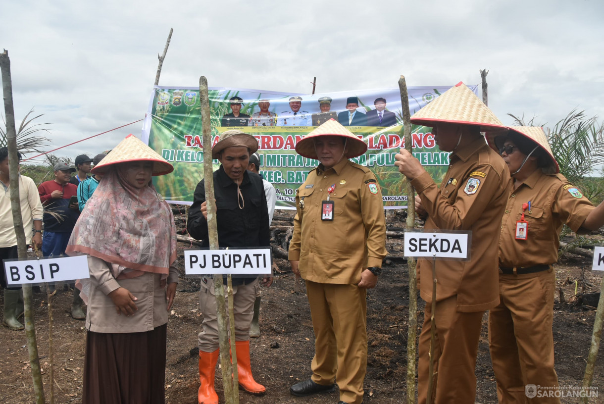 10 September 2024 - Tanam Perdana Padi Ladang Kelompok Tani Mitra Jaya, Bertempat di Desa Pulau Melako Kecamatan Bathin VIII