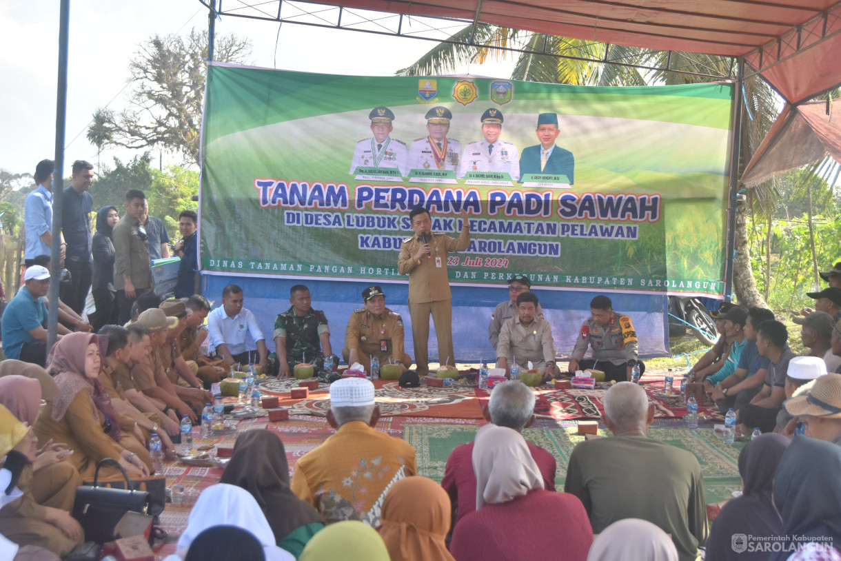 23 Juli 2024 -&nbsp;Tanam Perdana Padi Sawah, Bertempat di Desa Lubuk Sayak Kecamatan Pelawan