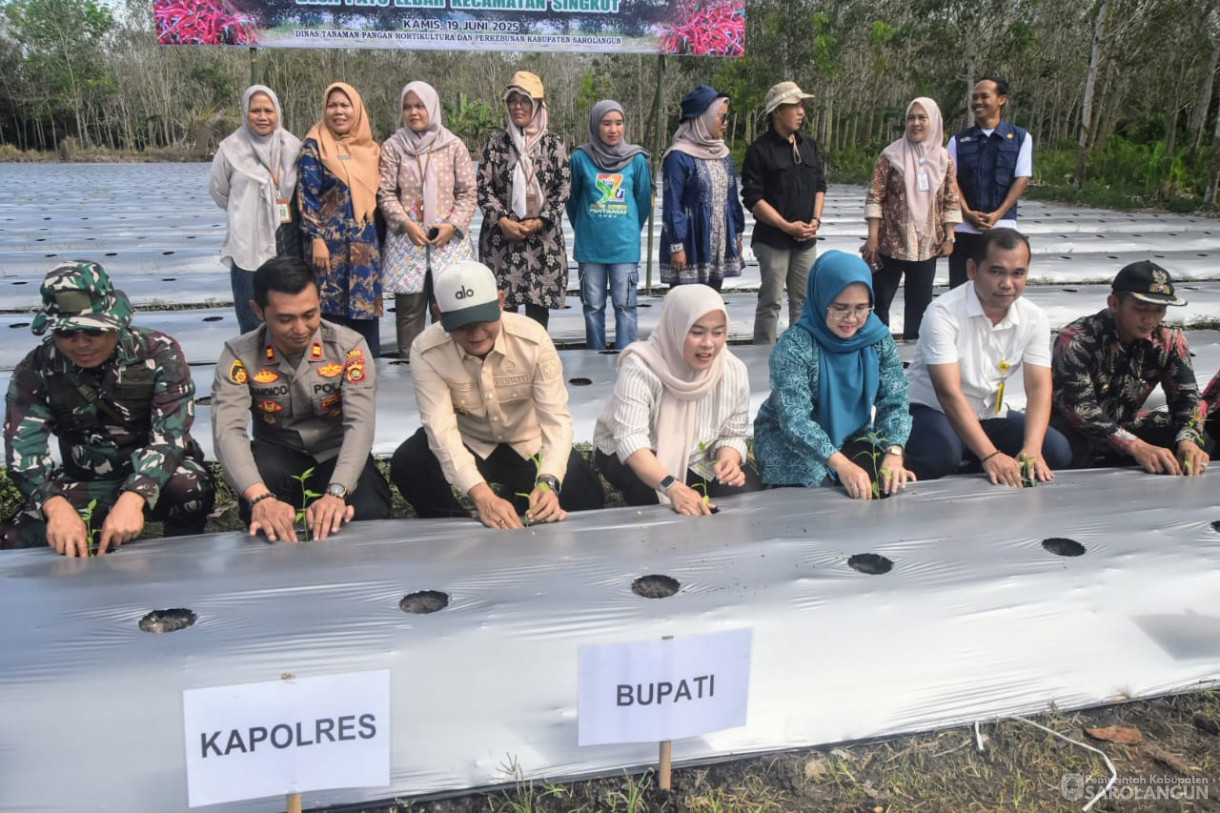 19 Juni 2025 -&nbsp;Tanam Cabe Merah Kelompok Tani Bina
