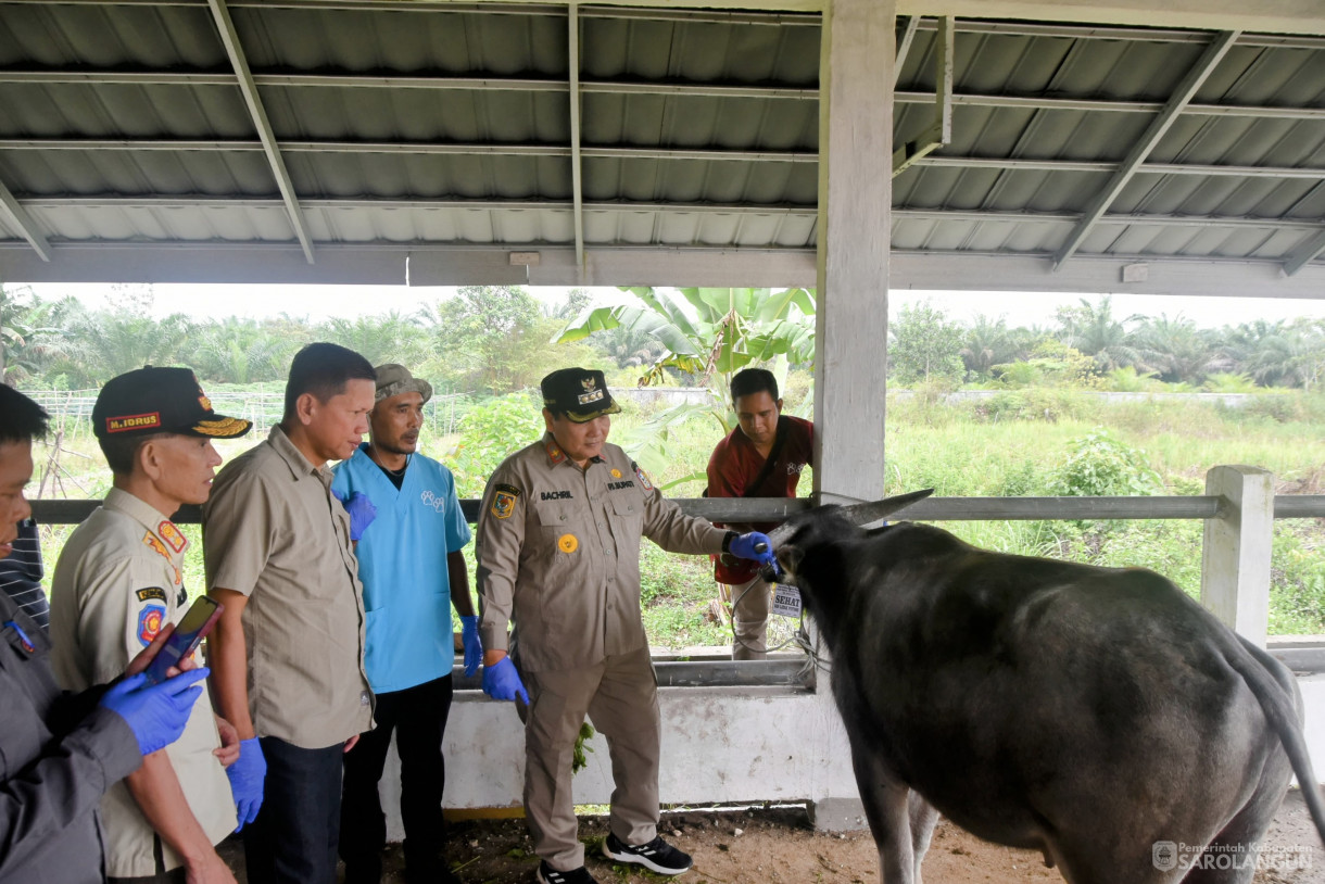 15 Juni 2024 - Monitoring Tempat Pemotongan Hewan Kurban Di Kelurahan Aurgading Kecamatan Sarolangun Dan Desa Siliwangi Kecamatan Singkut