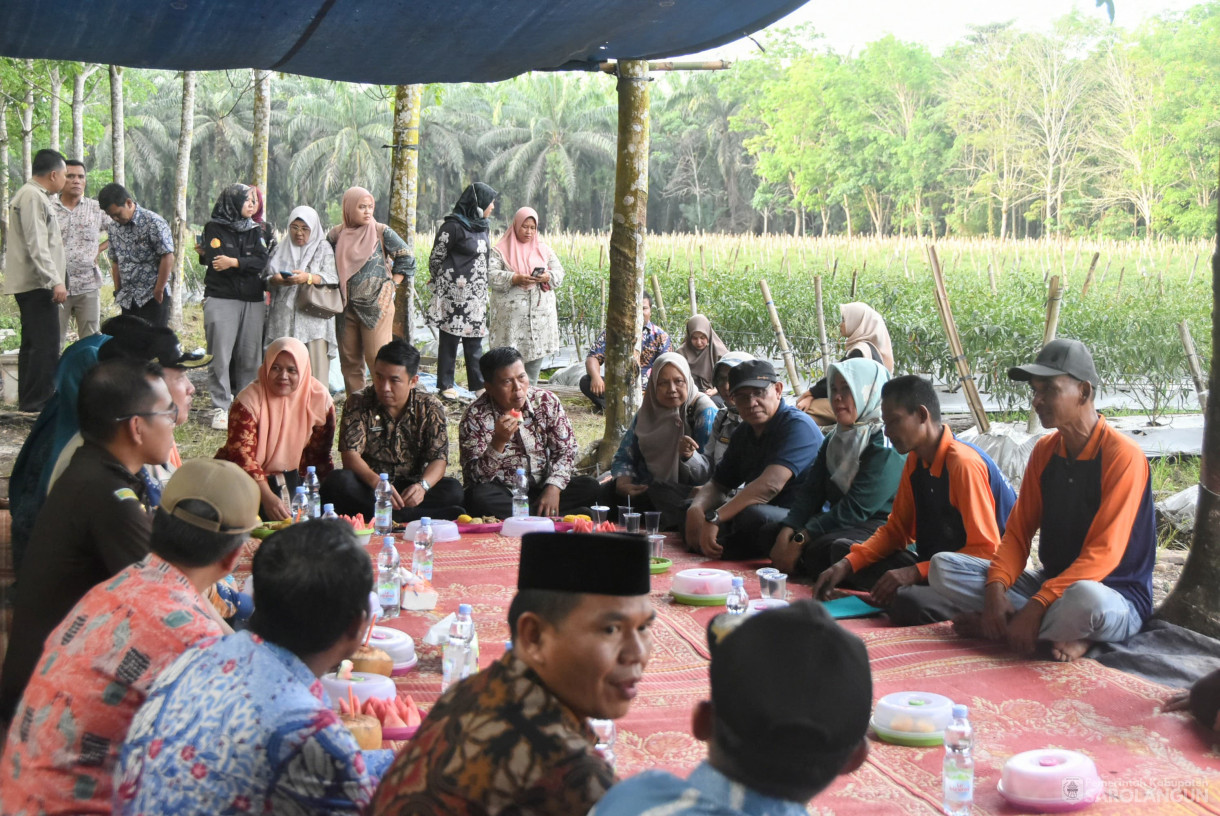 01 Agustus 2024 -&nbsp;Gerakan Tanam Cepat Panen Cabe Merah Kelompok Tani Bina Jaya, Bertempat di Desa Payolebar&nbsp; Kecamatan Singkut