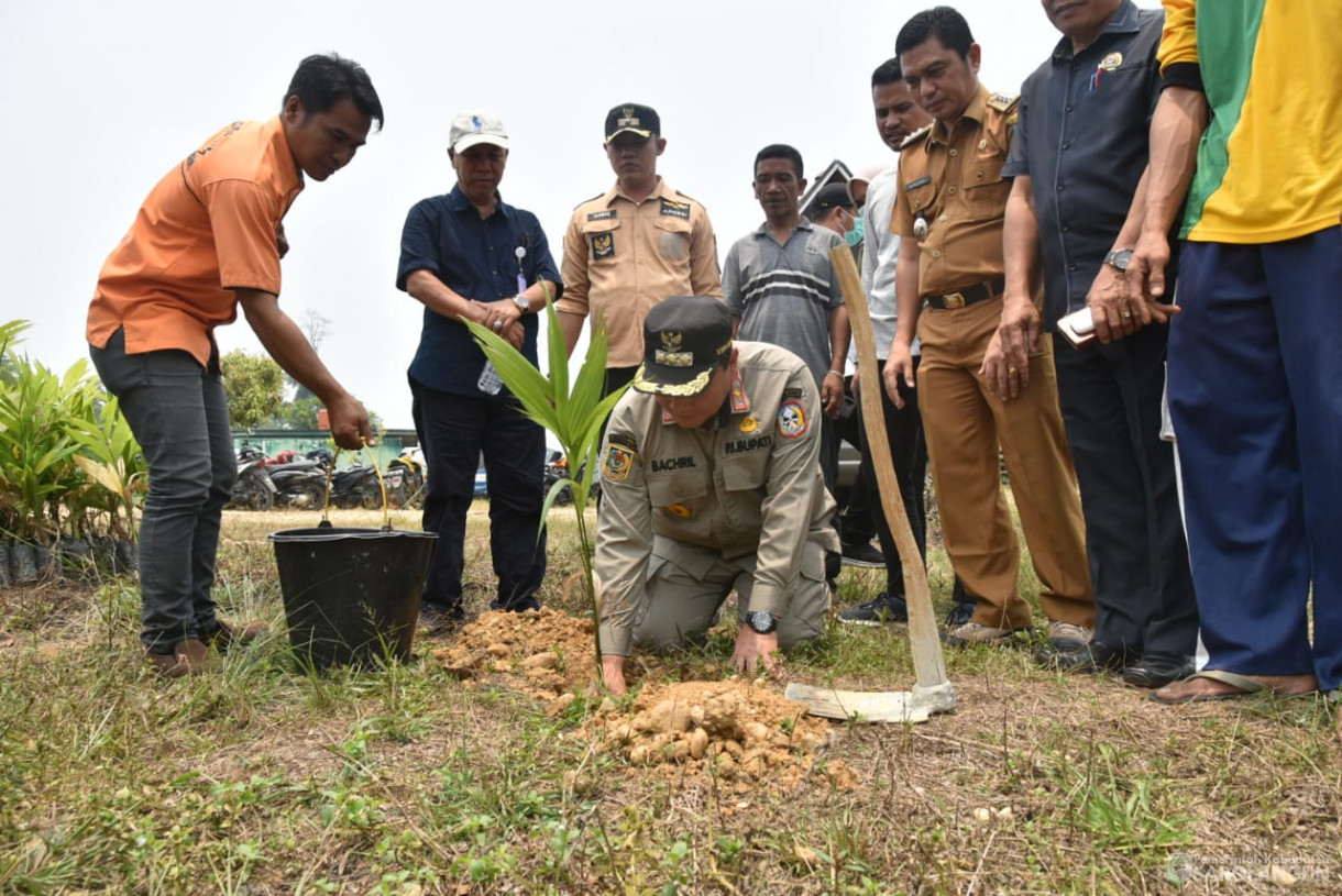 6 Oktober 2023 - Penjabat Bupati Sarolangun Melakukan Penanaman Bibit Pohon Pinang Betara Sebanyak 200 Batang Untuk Warga SAD di Desa Lubuk Jering Kecamatan Air Hitam