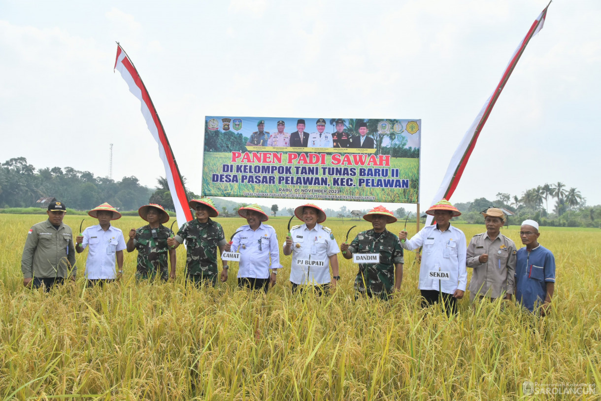 1 November 2023 - Penjabat Bupati Sarolangun Menghadiri Panen Padi Sawah Kelompok Tani Tubas Baru II Dalam Rangka HUT&nbsp; Ke 78 TNI di Desa Pasar Pelawan Kecamatan Pelawan