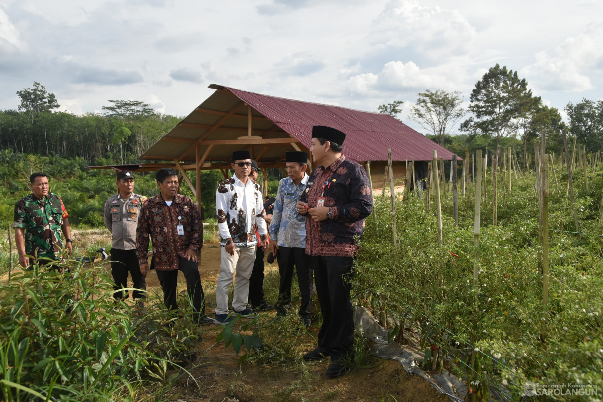 11 Januari 2024 - Meninjau Kebun Cabe Di Desa Pasar Singkut Kecamatan Singkut11 Januari 2024 - Meninjau Kebun Cabe Di Desa Pasar Singkut Kecamatan Singkut