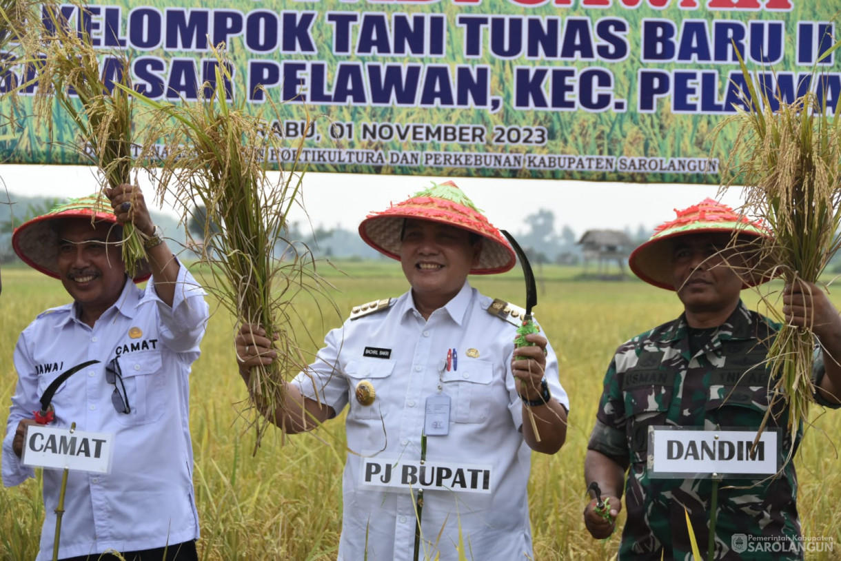 1 November 2023 - Penjabat Bupati Sarolangun Menghadiri Panen Padi Sawah Kelompok Tani Tubas Baru II Dalam Rangka HUT&nbsp; Ke 78 TNI di Desa Pasar Pelawan Kecamatan Pelawan