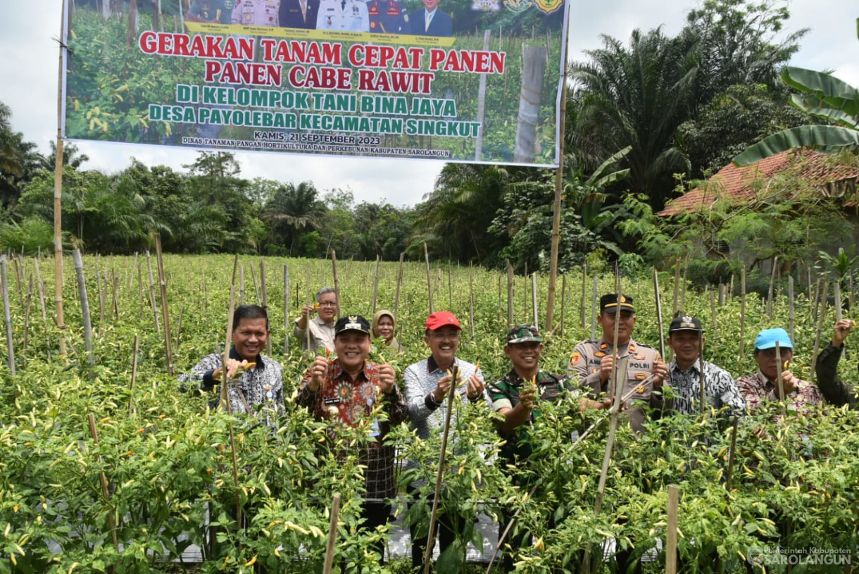 21 September 2023 - Penjabat Bupati Sarolangun Bersama Forkopimda Menghadiri Acara Gerakan Tanam Cepat Panen Cabe Rawit Kelompok Tani Bina Jaya Desa Payolebar Kecamatan Singkut