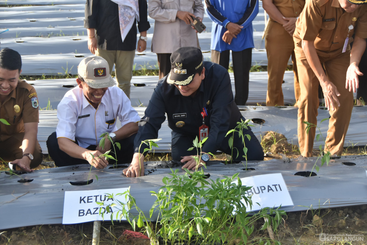 4 Juni 2024 - Gerakan Tanam Cepat Panen Tanam Cabe Merah Di Kelompok Jaya Makmur Desa Bukit Murau Kecamatan Singkut Dan Meninjau Smart Green House Dan Penanaman Bibit M