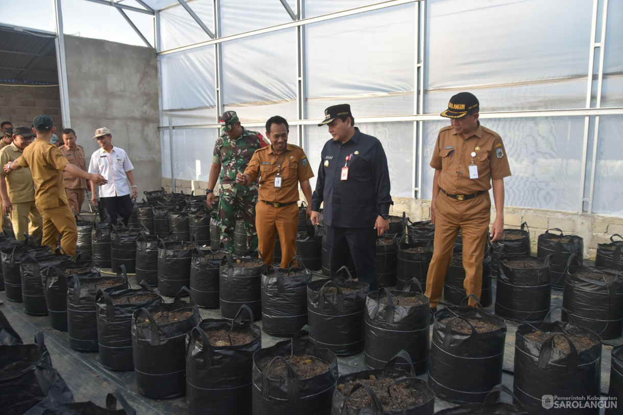 4 Juni 2024 - Gerakan Tanam Cepat Panen Tanam Cabe Merah Di Kelompok Jaya Makmur Desa Bukit Murau Kecamatan Singkut Dan Meninjau Smart Green House Dan Penanaman Bibit M