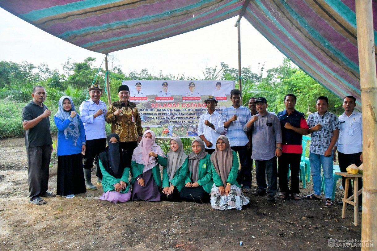 20 Desember 2023 - Meninjau Kebun Cabe Kelompok Tani Desa Pelawan Jaya