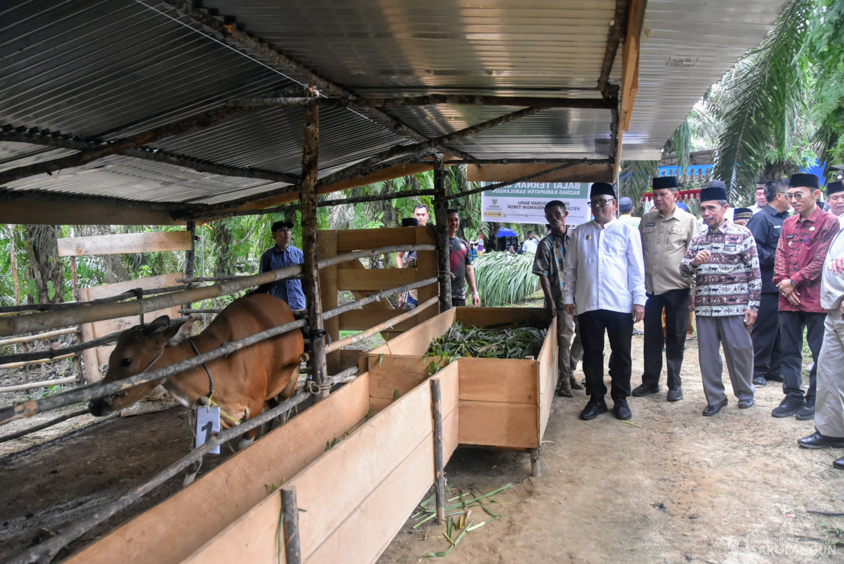 11 Oktober 2024 -&nbsp;Penyerahan 8 Ekor Sapi, Kambing, dan Launching Kotak Infaq Program Baznas Kepada Mustahik Dhuafa, Bertempat di Desa Petiduran Baru Kecamatan Mandiangin Timur