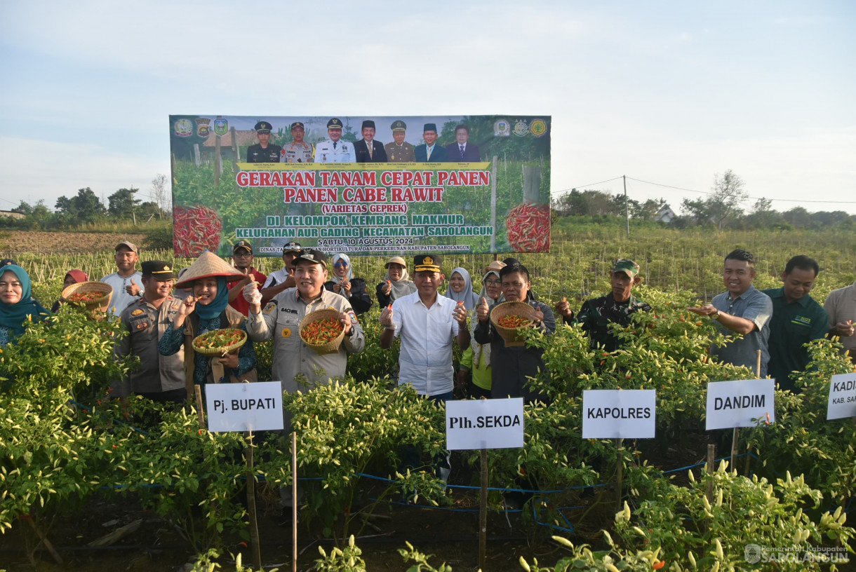 10 Agustus 2024 - Gerakan Tanam Cepat Panen Cabe Rawit Kelompok Tani Kembang Makmur, Bertempat di Kelurahan Aur Gading Kecamatan Sarolangun
