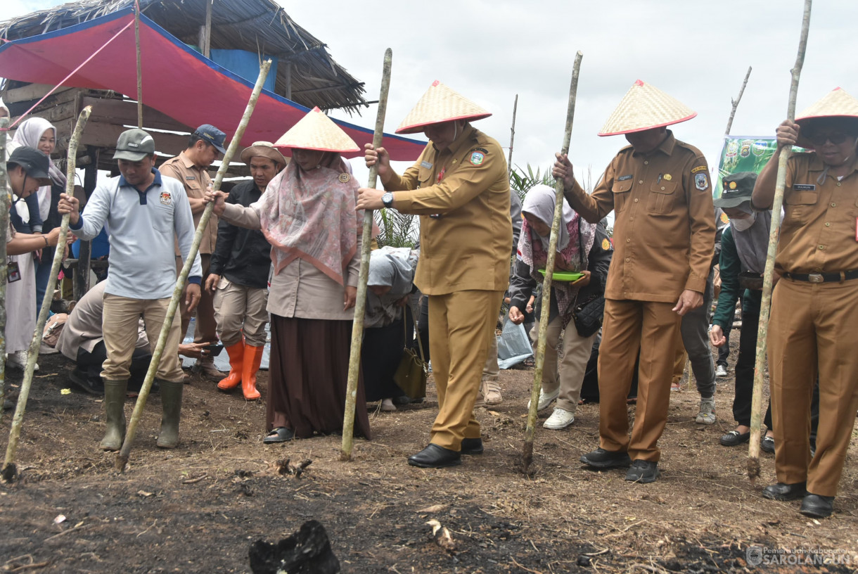 10 September 2024 - Tanam Perdana Padi Ladang Kelompok Tani Mitra Jaya, Bertempat di Desa Pulau Melako Kecamatan Bathin VIII