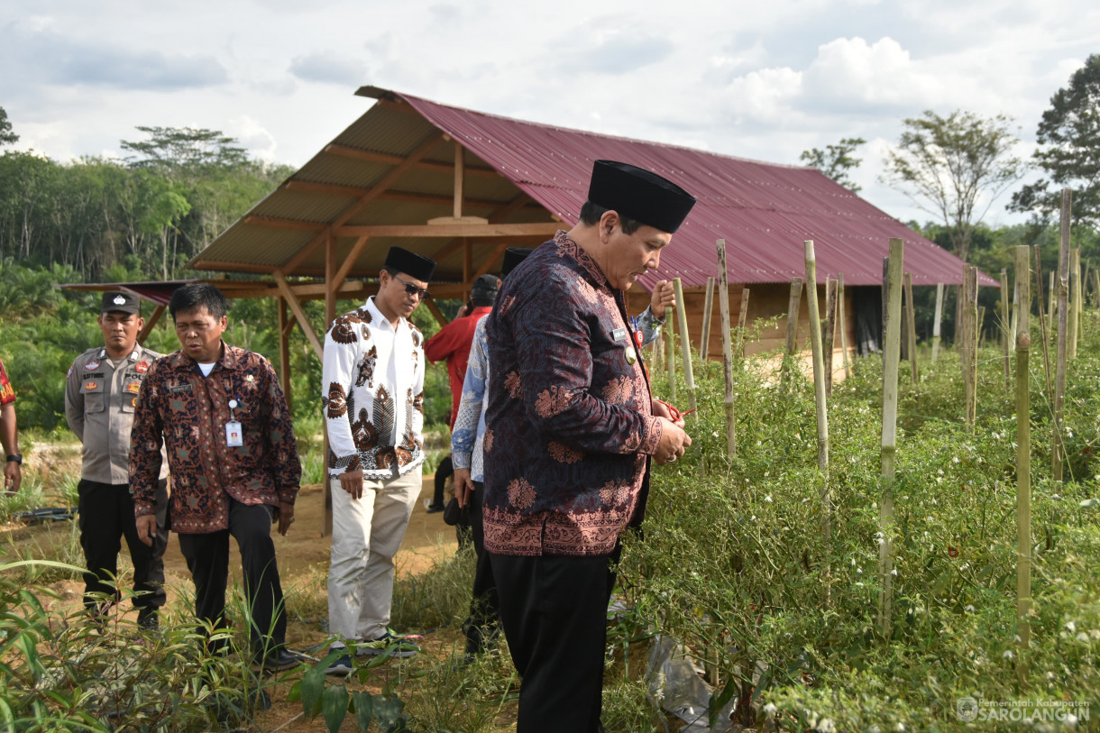 11 Januari 2024 - Meninjau Kebun Cabe Di Desa Pasar Singkut Kecamatan Singkut