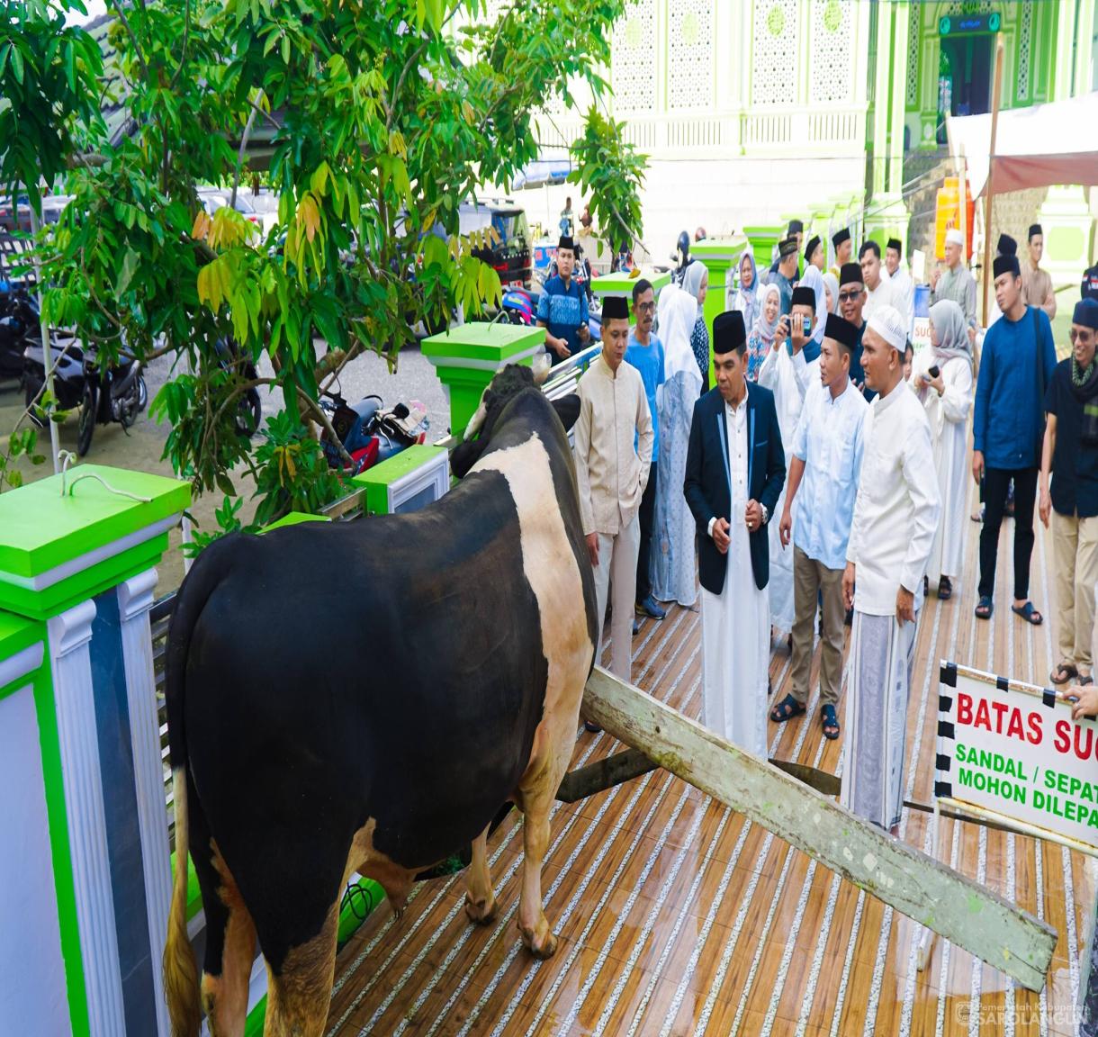 27 Mei 2026 Penyerahan Hewan Kurban dari&nbsp; Presiden Republik Indonesia kepada Panitia Qurban Masjid Alfalah Sarolangun