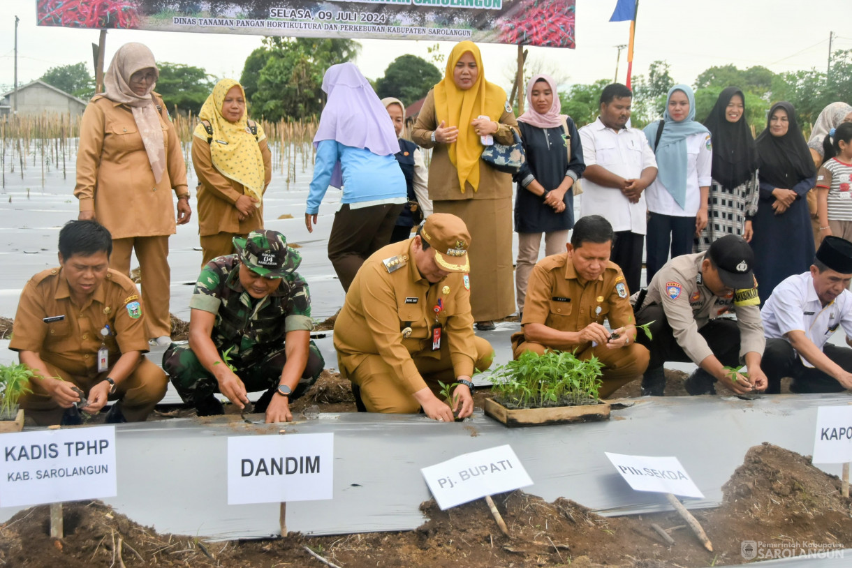 9 Juli 2024 -&nbsp;Gerakan Tanam Cabe Merah Kelompok Tani Sako Mandiri, Bertempat di Kelurahan Aurgading Kecamatan Sarolangun