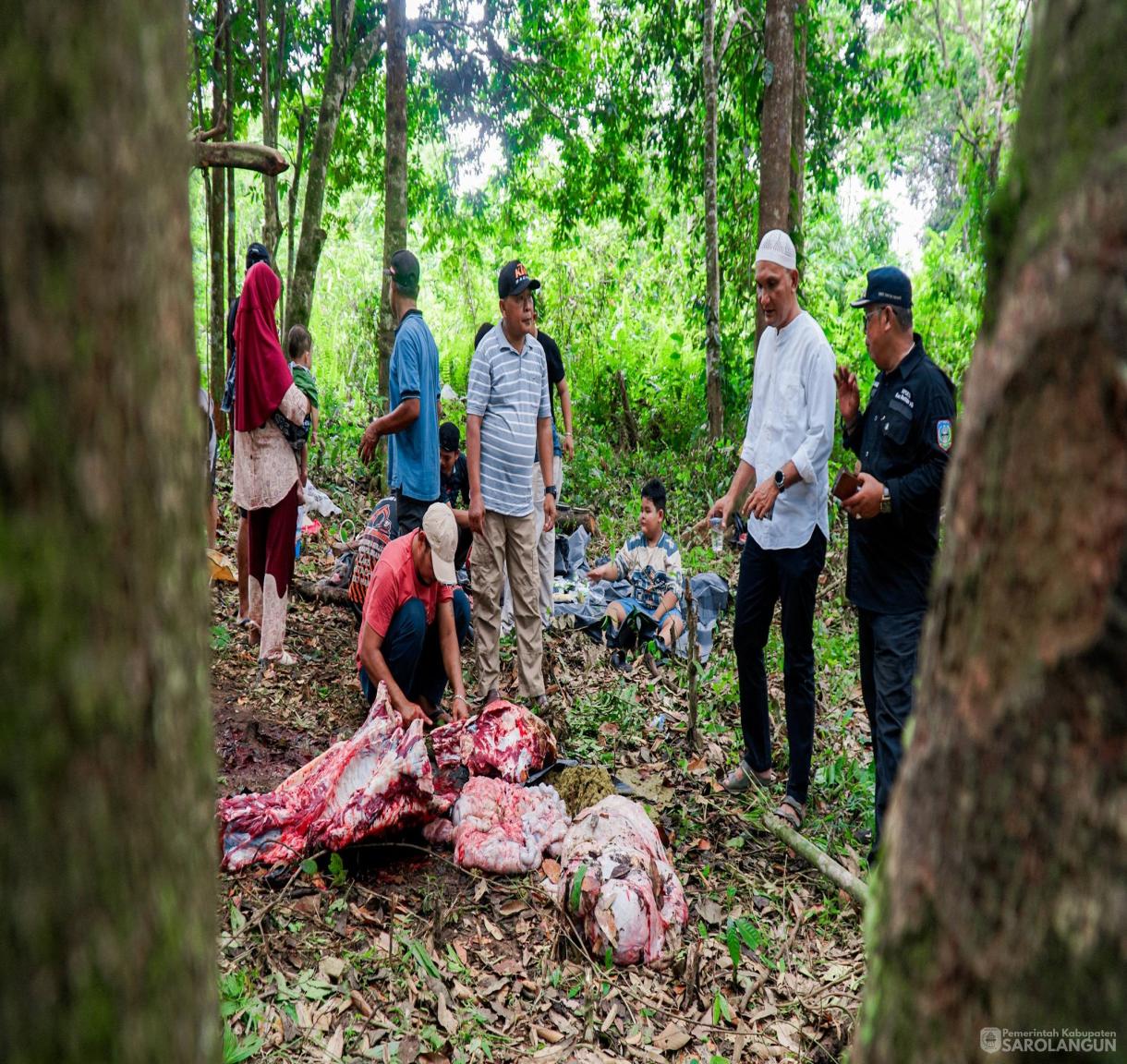 27 Mei 2026 Bupati Sarolangun Menghadiri Sekaligus Menyaksikan Secara Langsung Proses Pemotongan Hewan Kurban 46 Ekor Sapi, 2 Ekor Kambing di Desa Rantau Gedang Kecamatan Bathin VIII