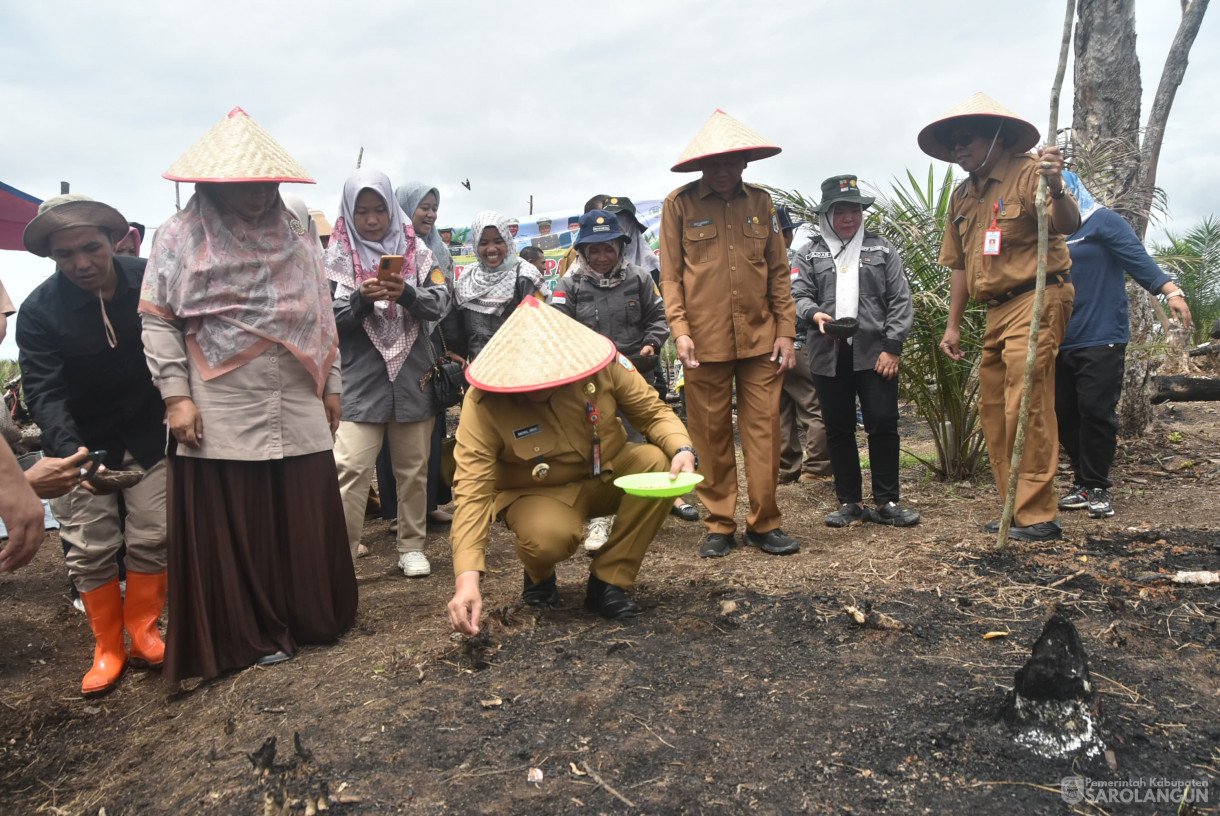 10 September 2024 - Tanam Perdana Padi Ladang Kelompok Tani Mitra Jaya, Bertempat di Desa Pulau Melako Kecamatan Bathin VIII