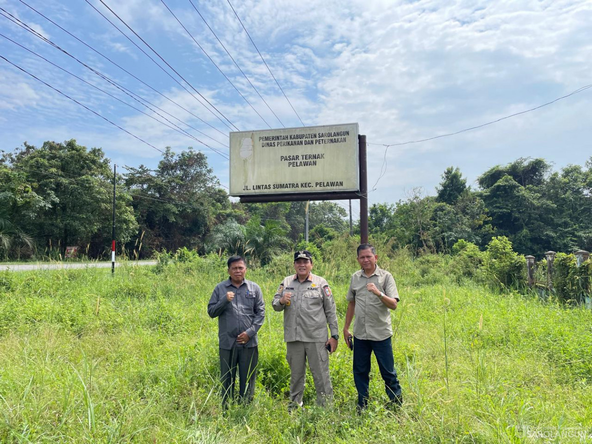 15 Juni 2024 - Meninjau Pasar Ternak Pelawan Di Pelawan