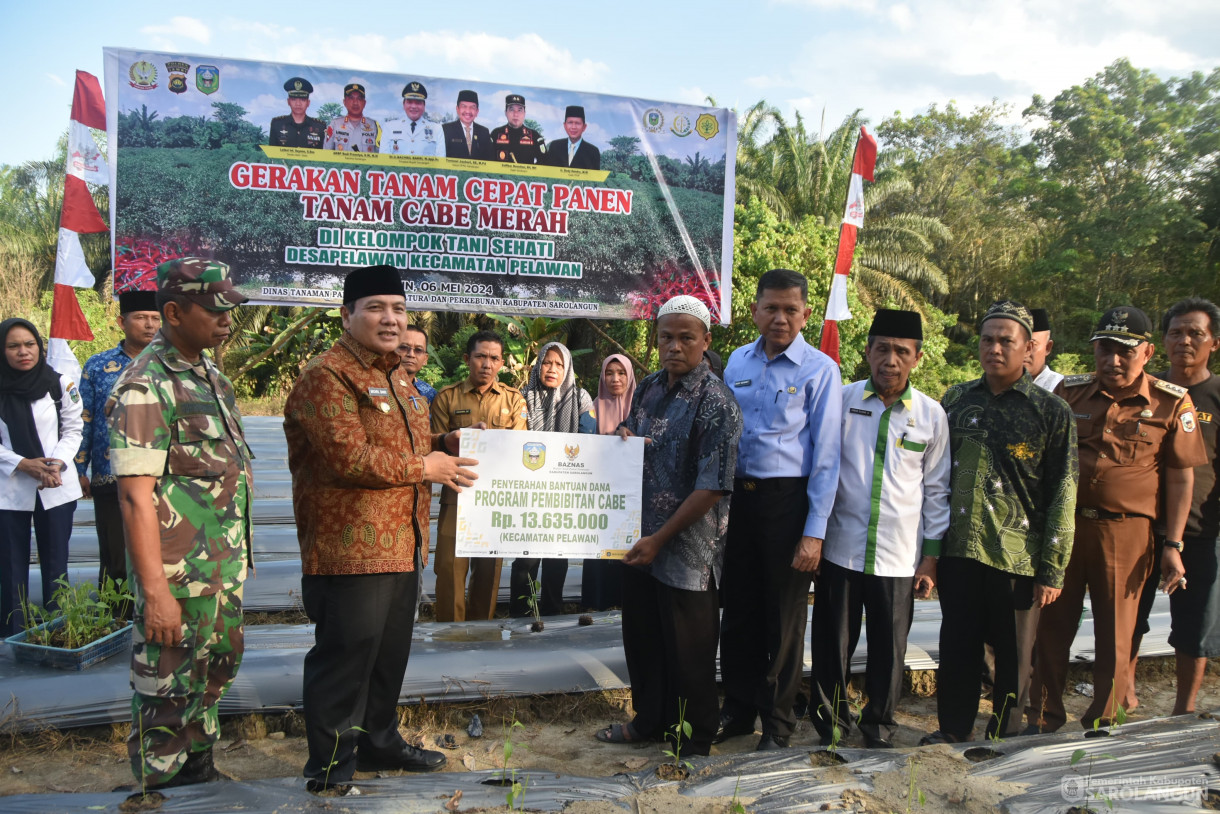 6 Mei 2024 - Penyerahan Bantuan Dana Baznas  Program Pembibitan Cabe Di Desa Bukit Kecamatan Pelawan